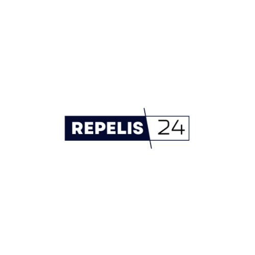 Repelis24: Exploring Reality in Entertainments